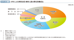 3-1-2-2図　少年による特別法犯 検挙人員の罪名別構成比