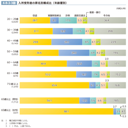 4-8-2-3図　入所受刑者の罪名別構成比（年齢層別）